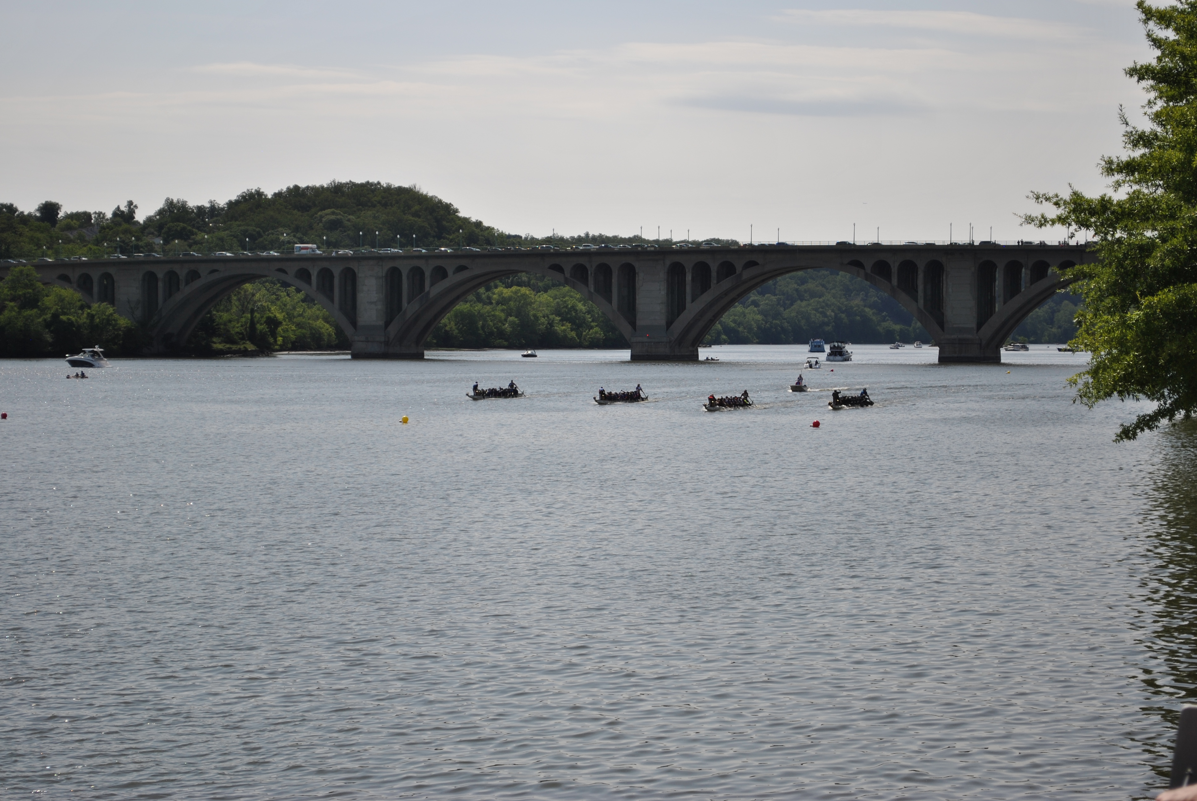 DC Dragon Boat Festival at Georgetown Waterfront Park